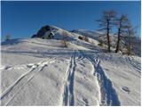 Planina Zajavornik - Debeli vrh above Lipanca